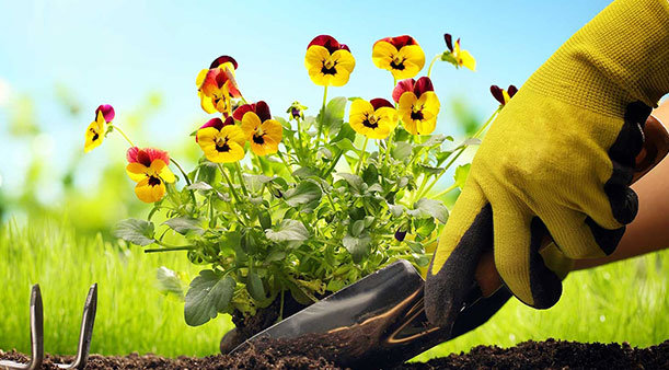 Cad chuige a n-úsáidtear lámhainní oibre?